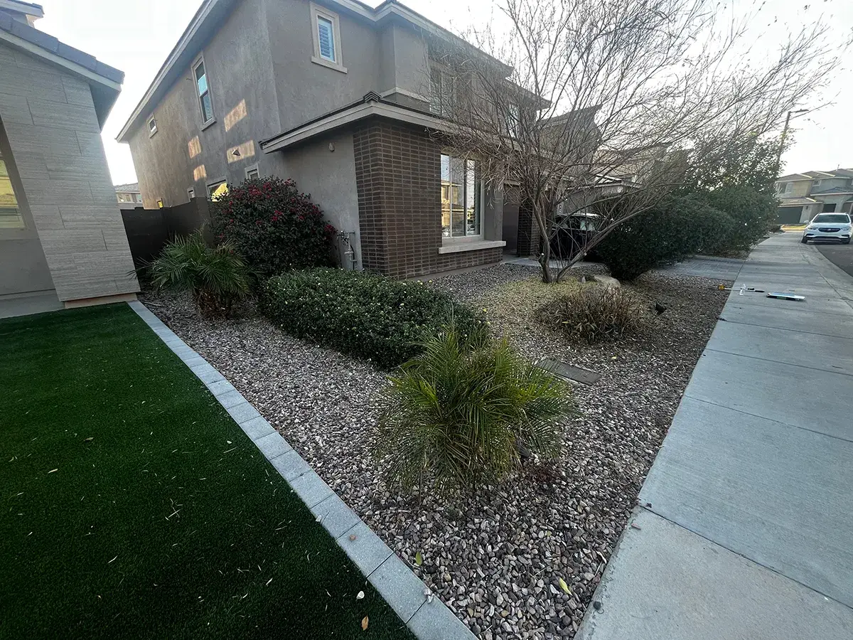 Before photo of landscape