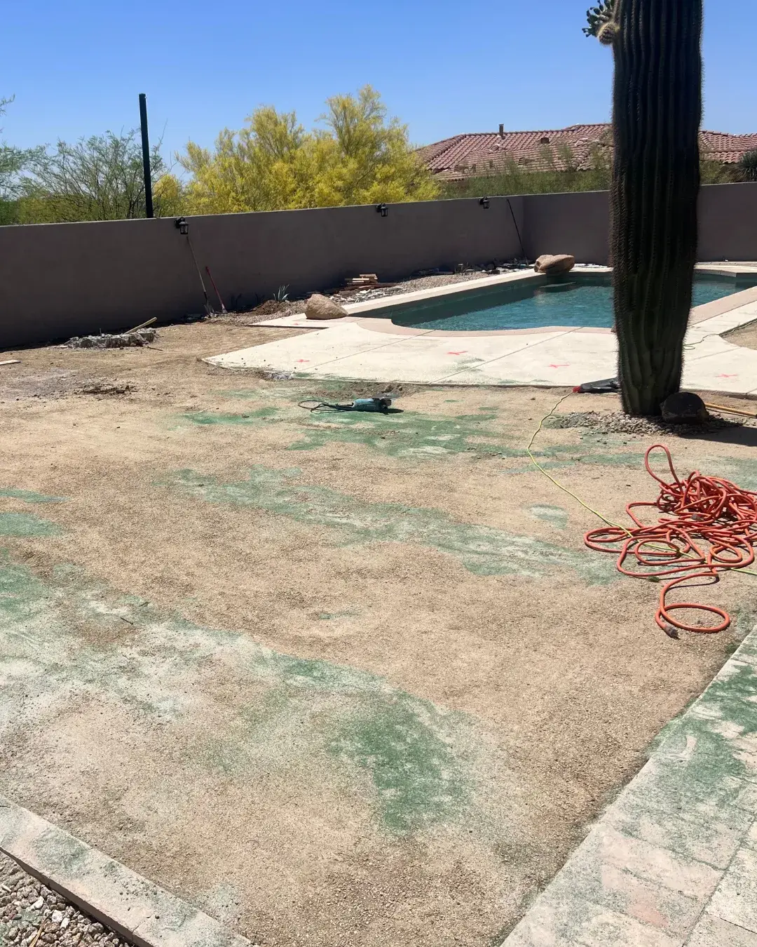 Before photo of landscape by pool